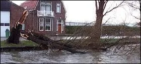 Lequel de ces pays a annoncé d'urgence une aide humanitaire de 300 000 dollars pour la Dominique ?