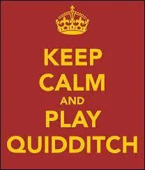 Le jour du match, &agrave; quelle heure Harry s'est-il lev&eacute; ?