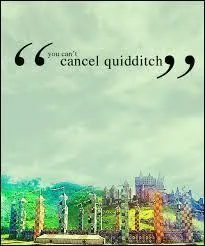 Dans ce chapitre, le prochain match de Quidditch devrait avoir lieu le :