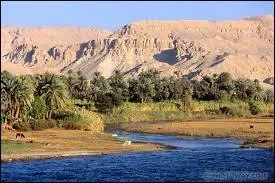 Quelle femme était présente au tribunal ?