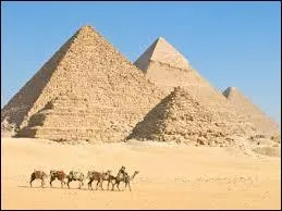 Dans cette affaire, qui a été le juge ?