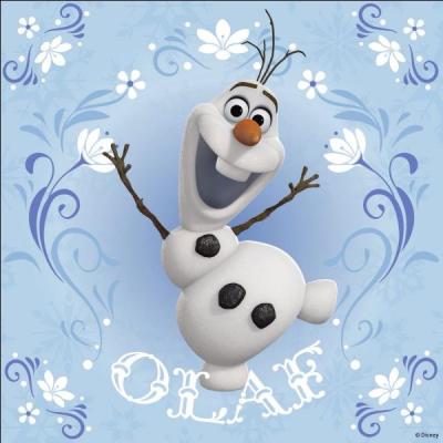 Olaf est constitué de :