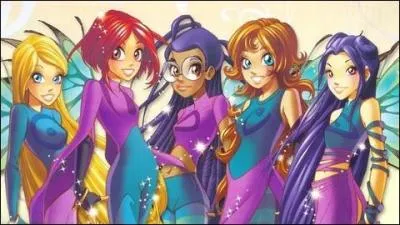 Ce sont les aventures d'un groupe de cinq filles qui maîtrisent le pouvoir des cinq éléments en sauvant le monde.