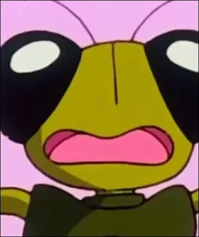 Comment s'appelle le "grillon" de maître Kaïo ?