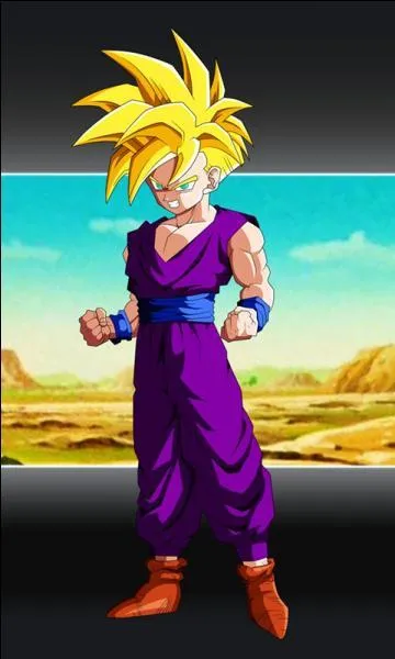 Que signifie Gohan en japonais ?