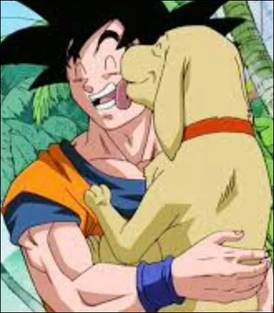 Comment se nomme le chien de Buu et Mr Satan ?
