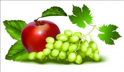 Édredon servant à la fois de couverture et de drap :