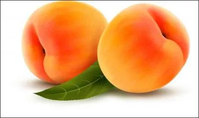 Voûte hémisphérique en forme de coupe renversée :