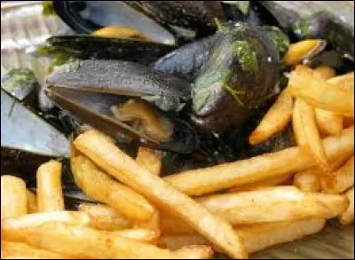 Que sont les moules ?