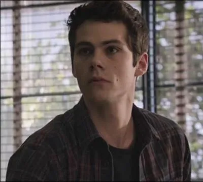 Qui joue le rôle de Stiles Stilinski ?