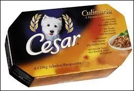 La race de chien utilisée comme mascotte de la marque de nourriture pour chien "César" est un labrador.
