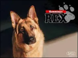 Le chien dans la série "Rex, chien flic" est un berger malinois.
