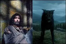 Dans "Harry Potter", Sirius Black prend le nom de Touffu lorsqu'il se transforme en chien.