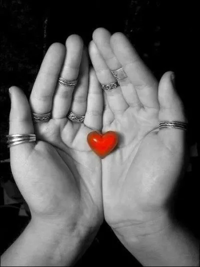 Qui chantait "Still loving you" ?