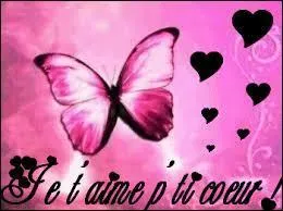 Qui a dit : On n'aime pas une femme pour ce qu'elle dit ; on aime ce qu'elle dit parce qu'on l'aime. 