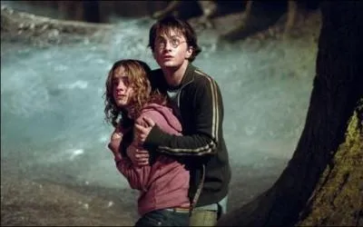 Dans quel "Harry Potter" cette scène se passe-t-elle ?