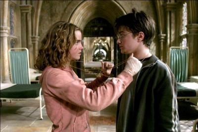 Comment s'appelle le collier que porte Hermione sur la photo ?