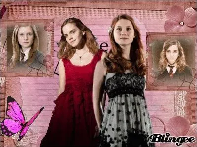Où Hermione et Ginny sont-elles devenues amies ?
