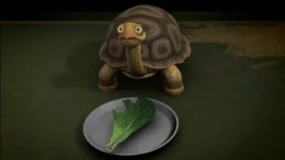 Comment s'appelle la tortue de Raphaël ?