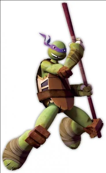 C'est la plus intelligente des 4 tortues. Il contrôle un bô.