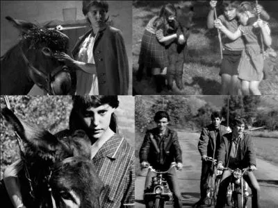 C'est un drame franco-suédois de 1966, il a été réalisé par Robert Bresson.
Anne Wiazemsky, François Lafarge, Philippe Asselin, Nathalie Joyaut font partie de la distribution. 
Un âne, heureux avec des enfants, se retrouve vendu à un boulanger. Le livreur de pain maltraite l'âne. Il se sauve ! 
Quel est ce film ?