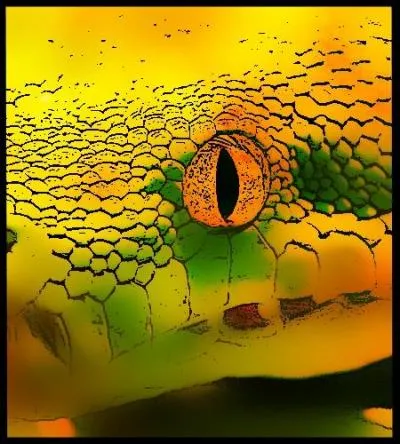 Grâce aux renseignements de la sorcière, j'appris que mon élément le plus brave était encore en vie. De trois nous voilà quatre Puis à nouveau trois, lorsque je me fus débarrassé de notre délatrice En créant, grâce