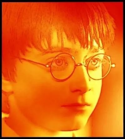 Cette quête m'entraîna jusqu'aux sous-sols du château. C'est ici que tout aurait dû s'achever. Mais Harry Potter triompha à nouveau.