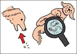 L'illustration correspond-elle à un sens donné à vaurien et autres gentillesses ?