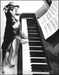 "Il jouait de piano debout" était une chanson de...