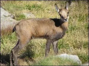 Le parc national du Mercantour s'étend sur 68 000 hectares, en Savoie.