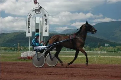 L'Ain, département de la région Rhône-Alpes n'a pas de frontière avec la Suisse.