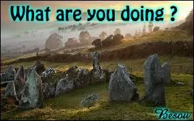 Si un Anglais vous demande "What are you doing ?", que vous demande-t-il ?