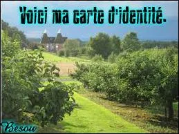 Comment traduirez-vous « voici ma carte d'identité » en anglais ?