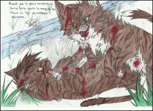 Pourquoi Griffe de Ronce tue-t-il Plume de Faucon ?