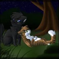 Où Plume de Jais a-t-elle déclaré sa flamme à Feuille de Lune ?