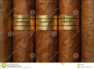 De quel homme politique s'agit-il ?