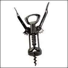 De quel (le) homme ou femme politique s'agit-il ?