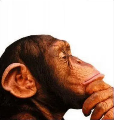 Cela pourrait donc expliquer la supériorité de sa masse quand on la compare à notre Soleil et par là même nous en dire plus sur l'avenir de notre Système.