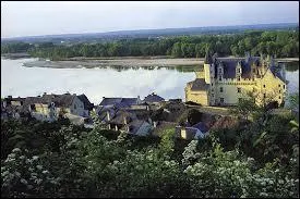 Je vous propose de partir à la découverte de Montsoreau. Classées parmi les Plus Beaux Villages de France, cette commune des Pays-de-la-Loire se situe dans le département ...