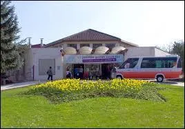 Après avoir visiter le zoo, je vous emmène faire une petite cure à Amnéville-les-Thermes. Où devons-nous nous rendre ?