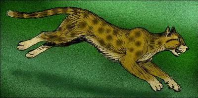 Son deuxième nom est :