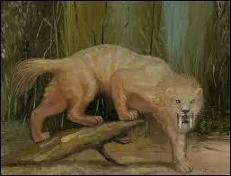 Sa classe est celle des :