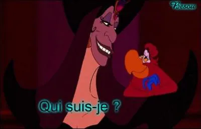 C'est le "méchant" du film d'animation « Aladdin ». Il hypnotise le sultan pour obtenir tout ce qu'il désire. Il s'appelle...
