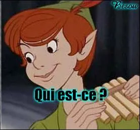 Voici un petit bonhomme venu tout droit du Pays imaginaire. On l'associe souvent à Wendy, entre autres. Comment s'appelle-t-il ?