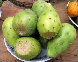 Dans le Sud de Madagascar, la population consomme du "raketa" à cause du manque d'eau. Mais de quelle plante des régions arides est-ce le fruit ?