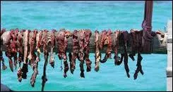 Par quel nom désigne-t-on les lanières de zébu fumées, généralement consommées avec du porridge de riz ?