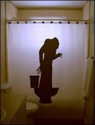 Que se passe-t-il lorsqu'un vampire se trouve face à un miroir ?