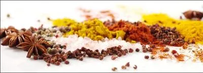 Quel pays a été une des principales sources mondiales d'épices pendant des siècles ?