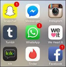 Quel est son réseau social préféré ?