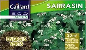 À votre avis, dans quel but un agriculteur utilisera-t-il de l'engrais vert ?